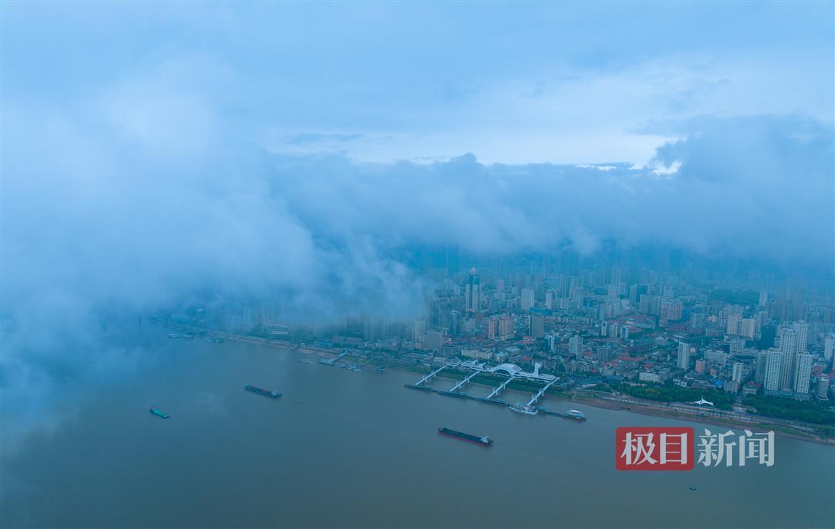新豪网站多少